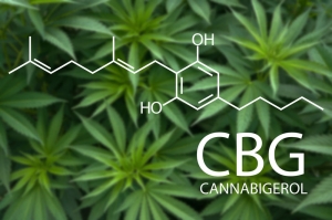 CBG Wax CBG Wax